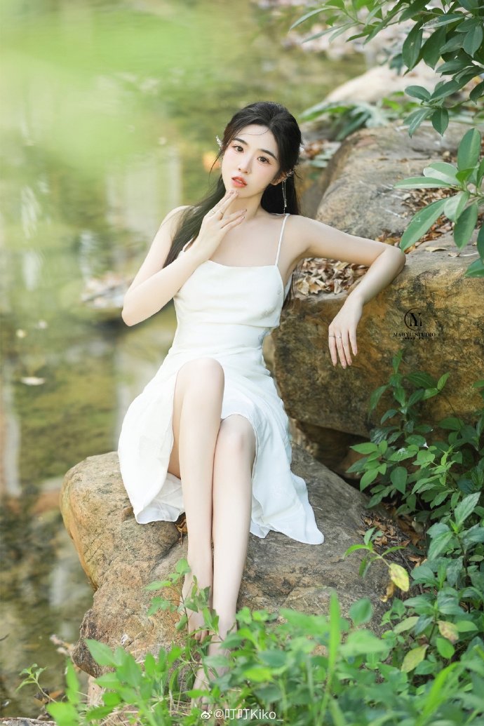 蒲公英电影